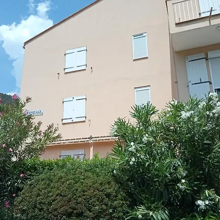 Studio Renove Vue Montagne Amelie-les-Bains-Palalda Exterior photo
