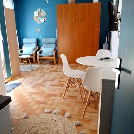 Studio Renove Vue Montagne Amelie-les-Bains-Palalda Exterior photo