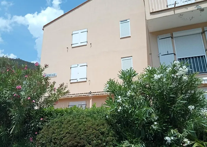 Studio Renove Vue Montagne