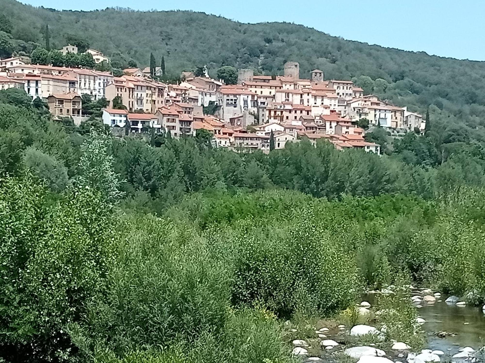 Apartment Renove Vue Montagne Amelie-les-Bains-Palalda